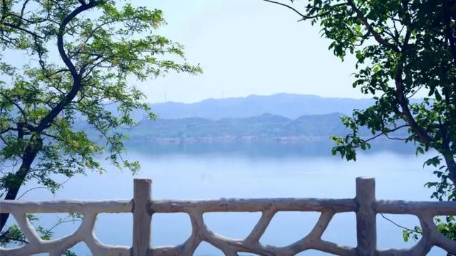 重返20°C+，洛阳极品好天气！速速出门！