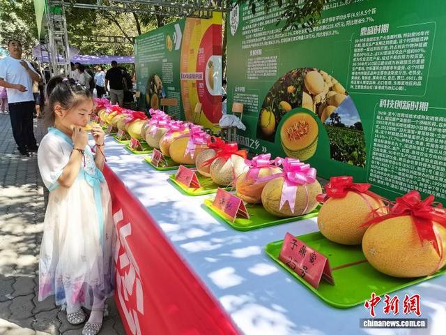 “中国甜瓜之乡”103团第十一届甜瓜文化旅游季举办