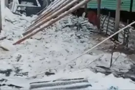 湖北仙桃一养殖户鸭棚被雪压塌，当事人：损失十余万元，已加强防范图片