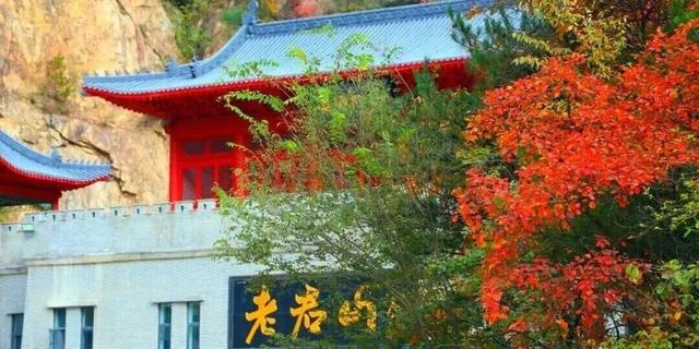 洛阳这些地方值得反复去，反复反复去... ...