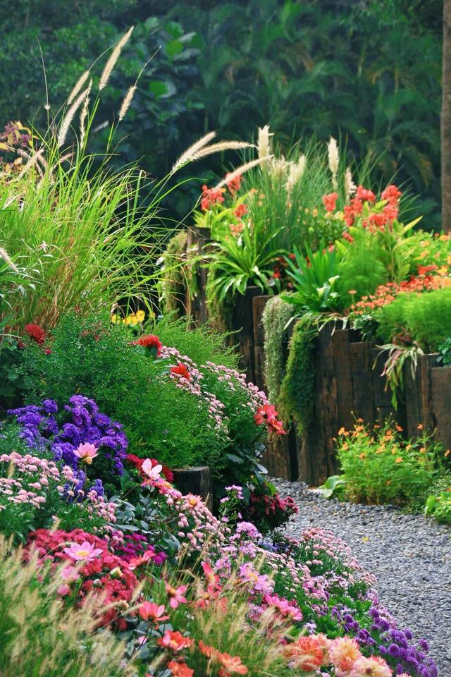 行摄 | 美爆了！秋日花海，限时上映