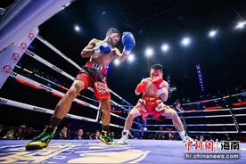 2024中国海口WBO/WBC职业拳王争霸赛落幕图片