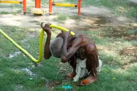 晚读 | 50℃热浪下，印度不到10%的人拥有空调图片