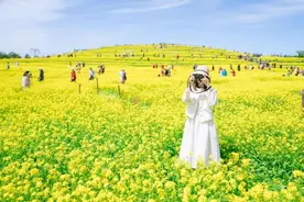 北京市朝阳区擦亮绿色名片：花园城市 美丽朝阳图片