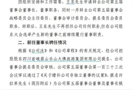 V观财报｜峨眉山A董事长王东辞职，许拉弟将接棒图片