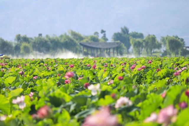 曲靖冲进全国避暑游增速TOP10！清凉生活被央媒点赞