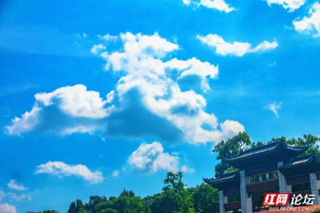 飞檐藏云，蝉声染绿：寻找零陵的夏日慢镜头