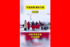视频｜​​真精彩！马街书会正会今日鸣锣图片