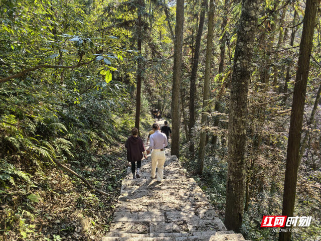 张家界国家森林公园：雨后初晴 捡拾秋之余韵
