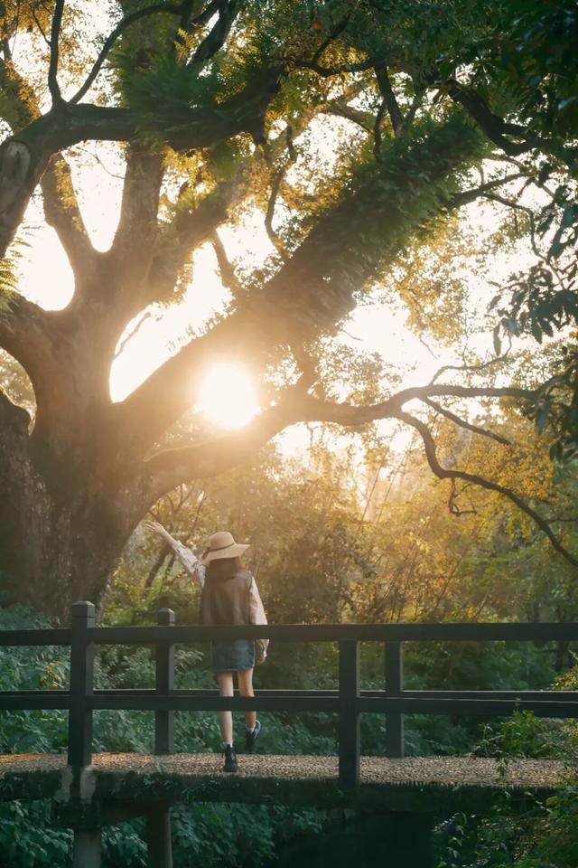 秋假即将开启！莲都这份惊喜请查收