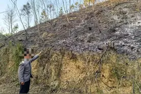 祭祀烧纸引发山火，一男子被刑拘图片