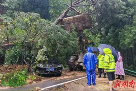 全力以“复”，湖南公路全力抢修水毁道路图片