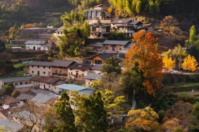 邂逅江南秋冬之美，浙江推出20条秋冬季乡村旅游精品线路