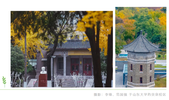 “跟着国宝游济南”5条主题线路已上线，解锁济南的新玩法！