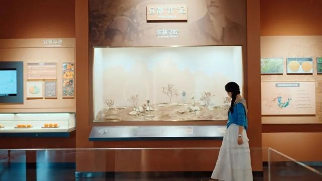 组个“橘” “宜”起“都”来解锁新乐趣→