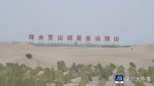 跨越山海 他们在塔克拉玛干沙漠上“生态课”