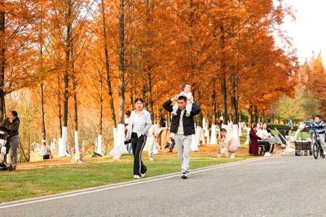 这含“金”量，不摆啦！贵阳的秋天，谁懂？