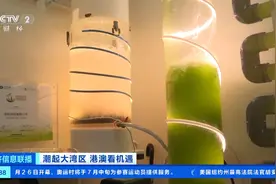 无人机、“唤氧器”…香港科创优势如何乘风而起？记者探访→图片