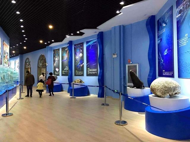 春节遛娃好去处 石林冰雪海洋世界推出2月限定梦幻灯展夜场