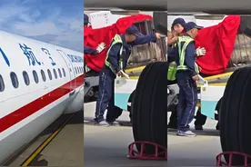 结束湖州“出差”之旅 大熊猫“运运”今日返回四川老家图片
