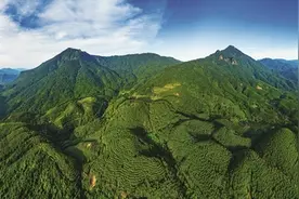 跨越时空的绿色接力让荒山变林海——岳山造林半世纪，绿色梦想代代传图片