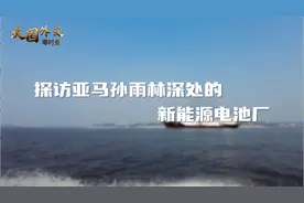 探访亚马孙雨林深处的新能源电池厂 | 大国外交零时差图片