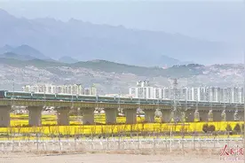 “熊猫专列”品牌旅游列车受到银发群体的热捧图片