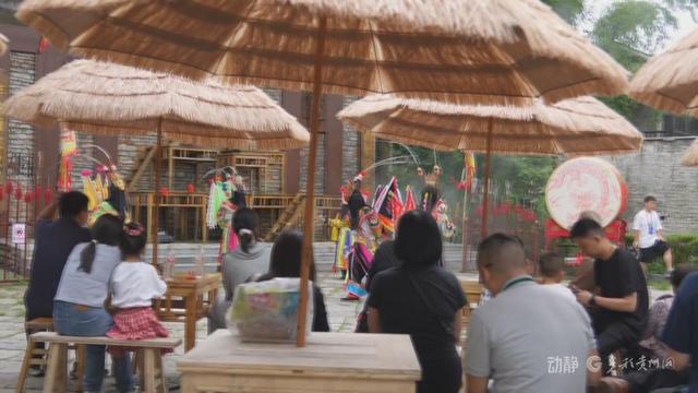 跨省“候鸟”栖居黔山，扇动百亿清凉经济
