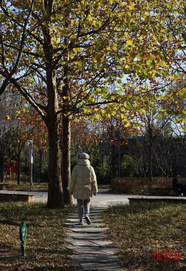 北京中轴线旁的初冬
