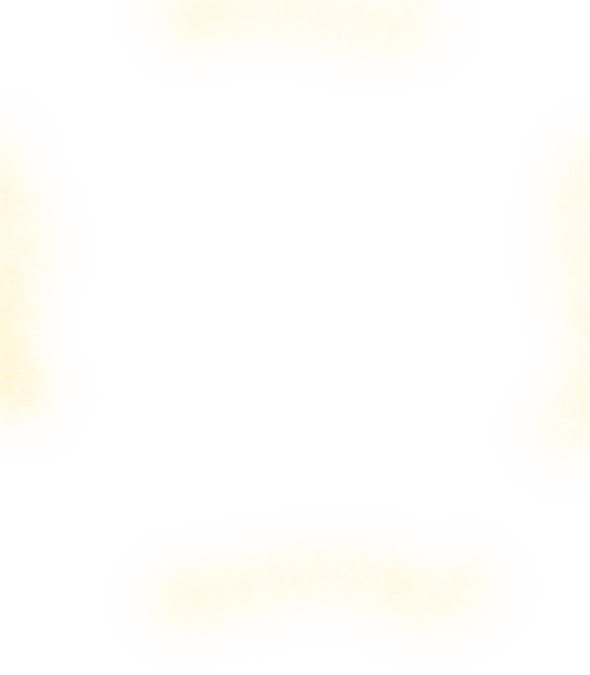 首批红嘴鸥抵达翠湖公园，游客雨中观鸥兴致不减