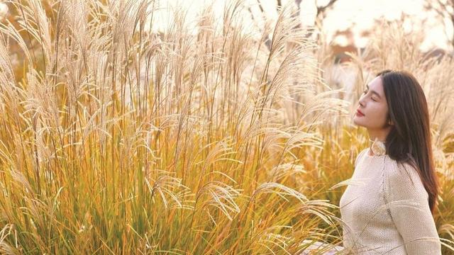 美在邯郸 | 清浅冬韵入园林