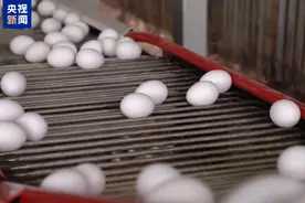 美国食品和药物管理局：近日被召回的有机鸡蛋沙门氏菌污染风险高图片