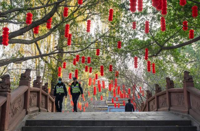 春满双流·马跃吉祥！2026年春节双流文旅全攻略来啦！快收藏