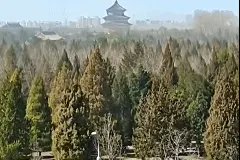 花粉过敏症到底是咋回事？如何避免“惹花粉上身”？图片