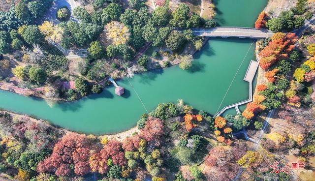 生态公园 斑斓冬韵