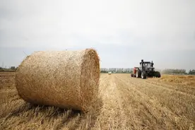 焚烧怕有污染，不烧影响生产：秸秆处置何解？图片