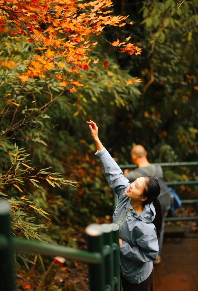 马上出发！四川“世界旅游名山”+1