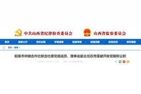 苏秀莲被开除党籍和公职图片