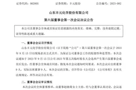 85后清华女硕士接班丰元股份，此前就职中泰证券图片