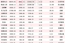 “国家队”持股动向揭晓 Q1增持个股名单一览图片