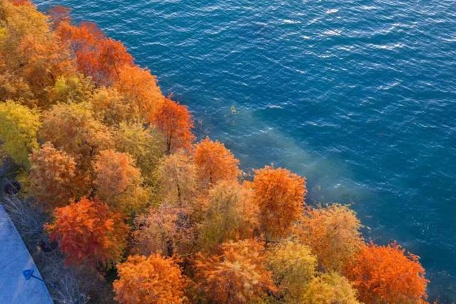 超美超出片！荆门这些宝藏地，附详细打卡攻略