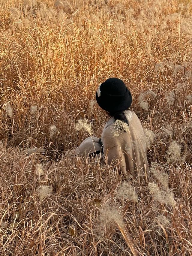 绒白胜雪！西安的芦苇仙境，氛围感拉满