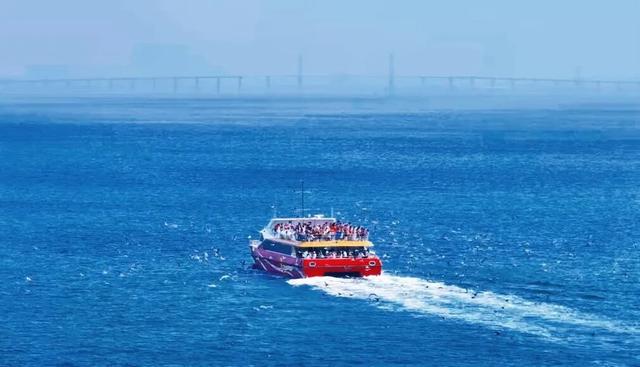 【树文旅标杆 铸青旅华章】青岛轮渡：从交通枢纽到文旅消费新地标的创新实践