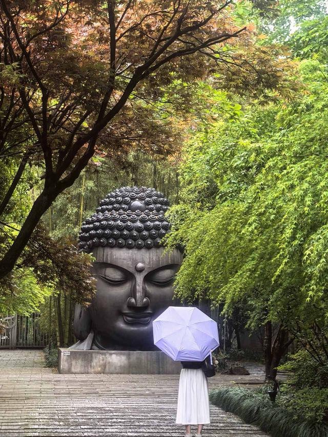 晚潮｜清风叶底度香醇