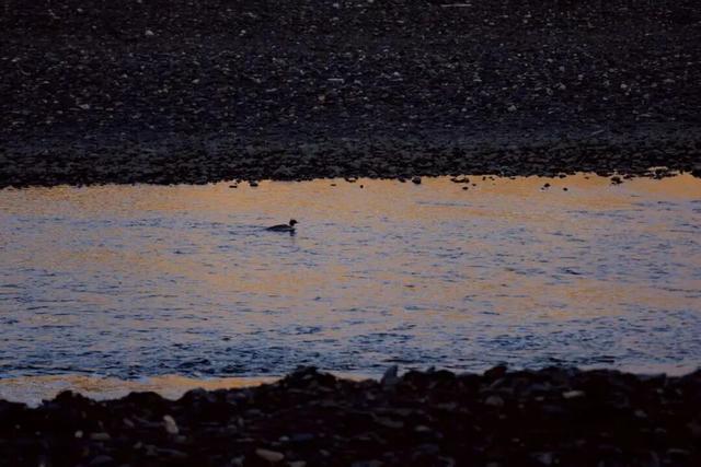 广元⇄甘孜 梦幻联动！七折游两地A级景区！