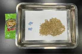 进境瓜子仁里藏着神秘蓝色小药丸？广州海关：三唑仑！图片