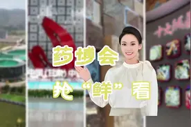 现场报道｜药博会抢“鲜”看图片