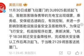 充电宝冒烟致航班备降，为何充电宝能“上飞机”却不能使用？图片