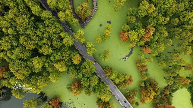 浙江杭州：青山湖秋色醉游人