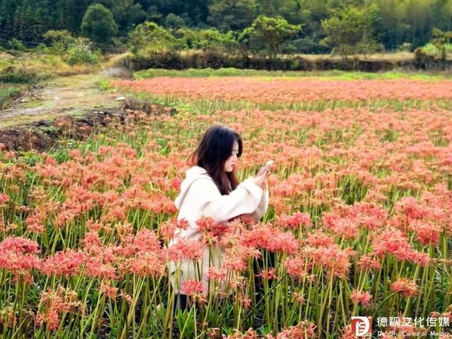 在上饶德兴享受独处的快乐，5个静谧空间超适合i人！